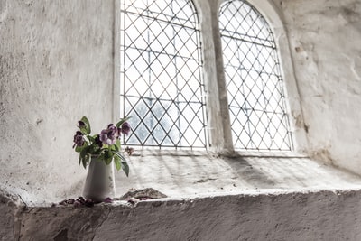 窗边白色花瓶上的绿紫色花瓣